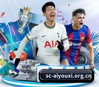 爱游戏围绕看球场景设计的核心服务 | ayx